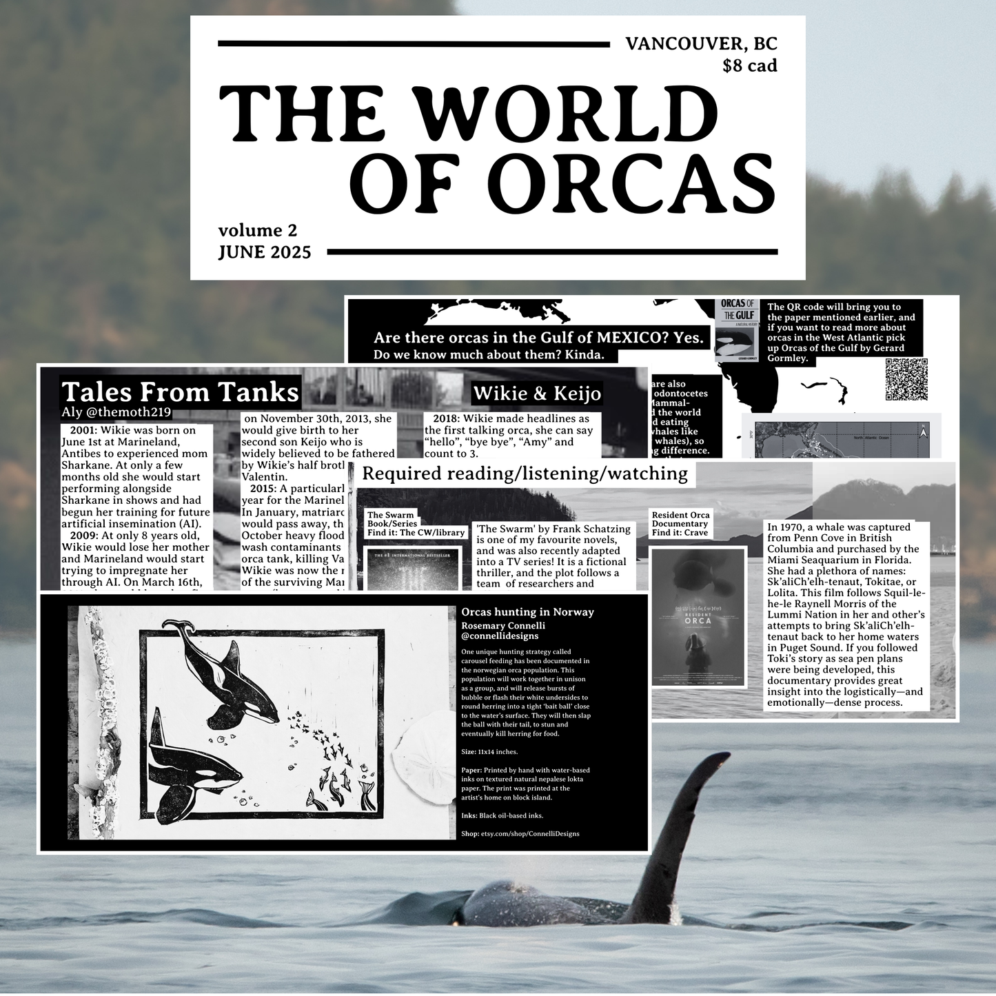 World of Orcas Zine