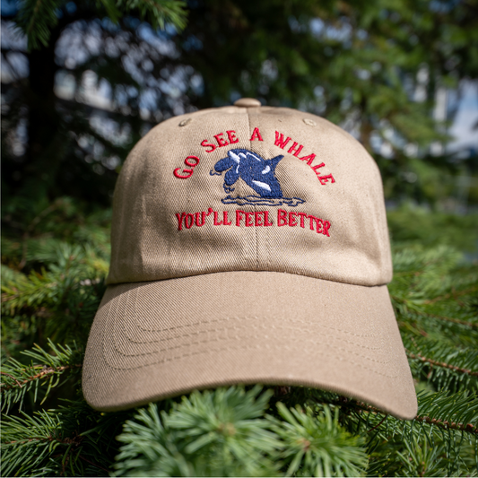 Go See a Whale V1 hat