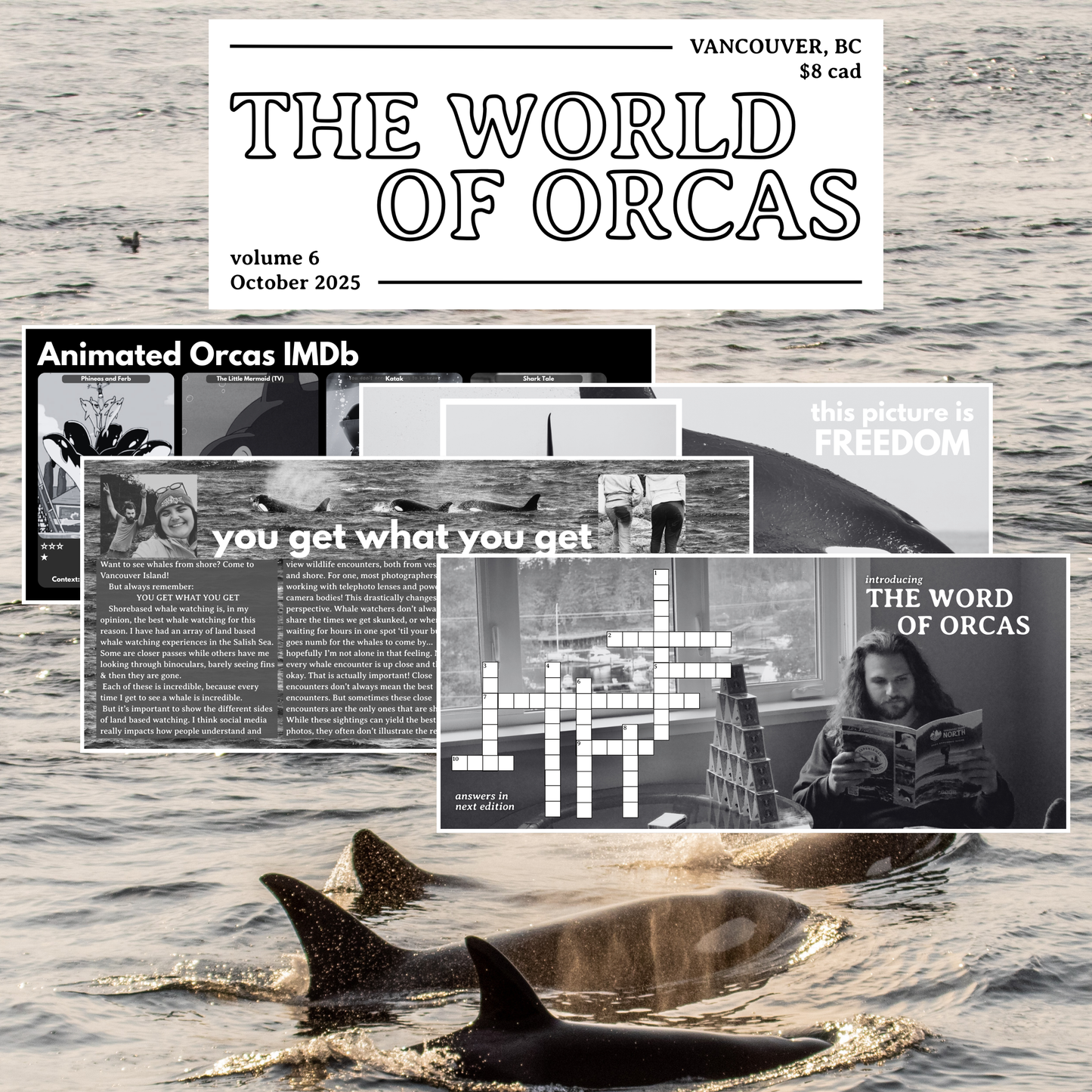 World of Orcas Zine