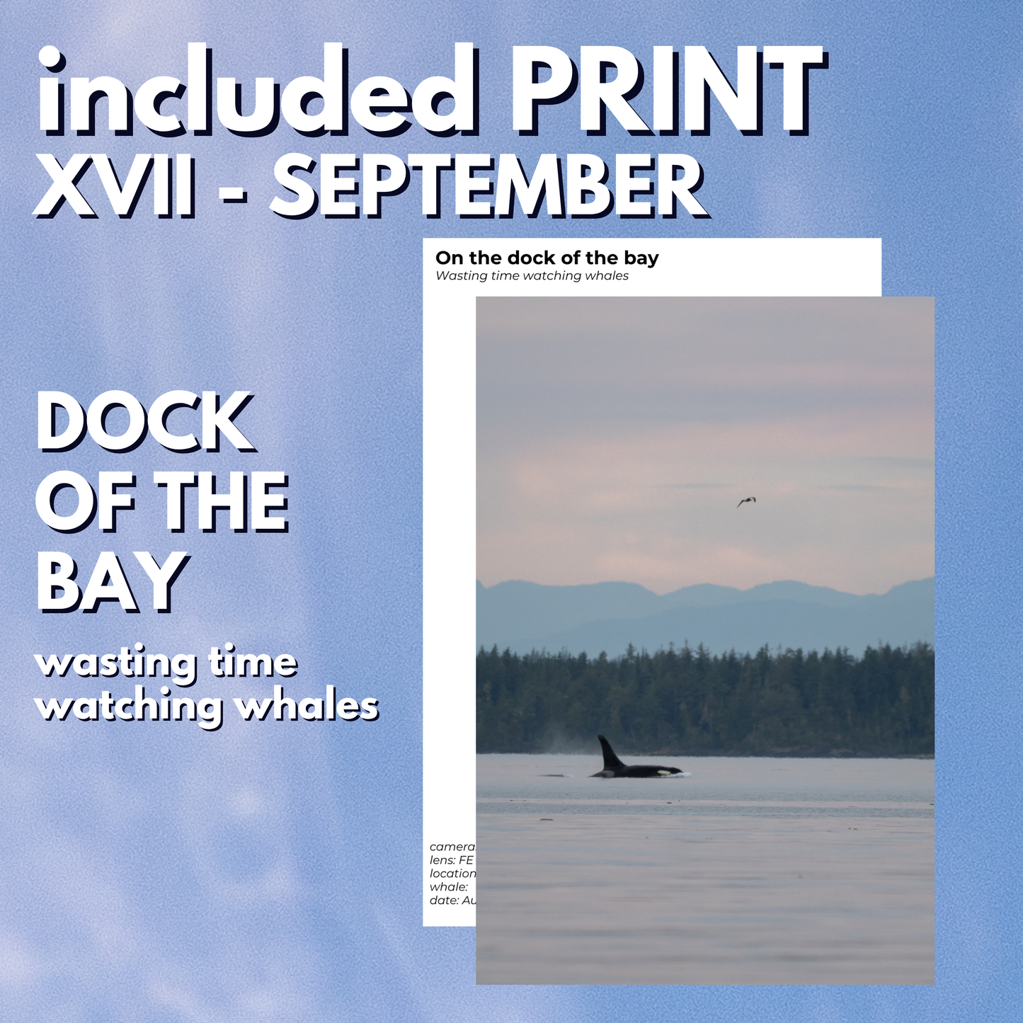 World of Orcas Zine (monthly subscription)